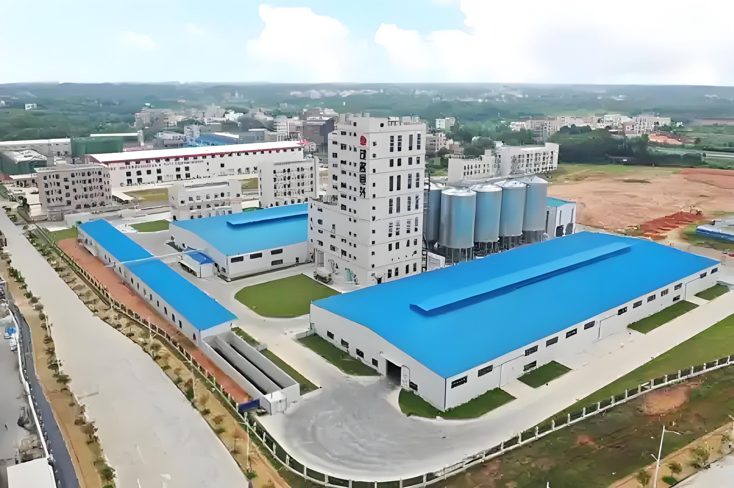 Senegal Feedmill Construction